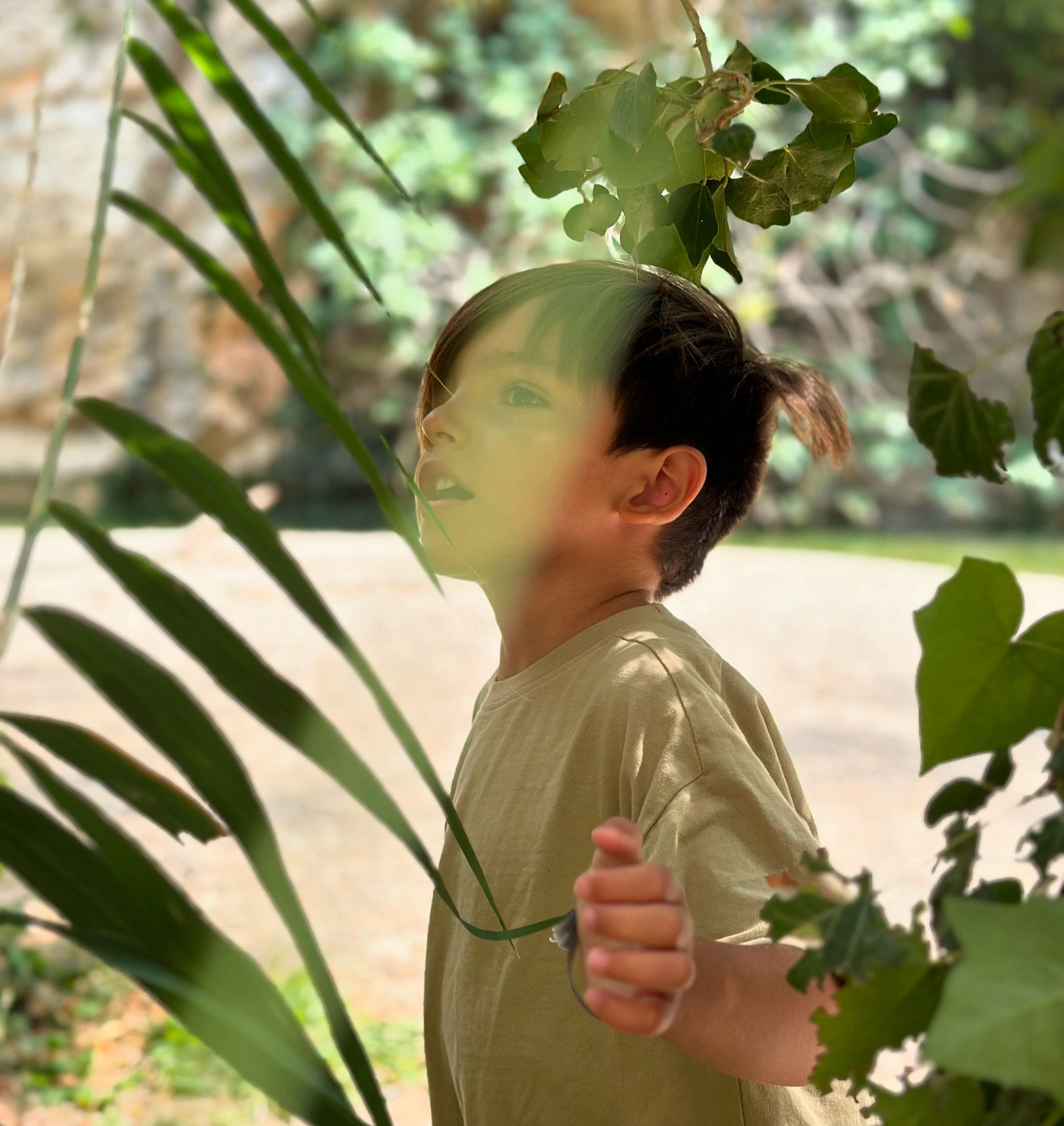 Fotografía artística